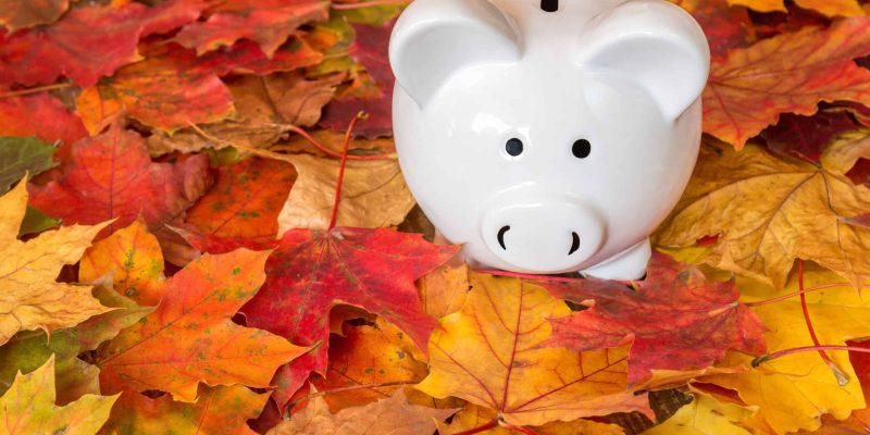 Financial planner vs wealth manager